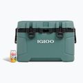 Turistinis šaldytuvas Igloo Trailmate 52 Roller 49 l spruce/obsidian gray 15