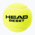 HEAD teniso kamuoliukai 4B Reset 6DZ 4 vnt. žali 575034 2