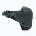 Rankinė ant juosmens  Thule Rail Hip Pack 2L 3204480 4