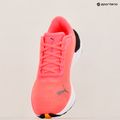 Moteriški bėgimo batai PUMA Electrify Nitro 3 Fade sun stream/sunset glow/puma white 18