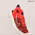 Moteriški bėgimo batai Nike Free RN NN aster pink/hot punch/light iron ore/black 9