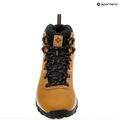 Vyriški žygio batai Columbia Newton Ridge Plus II Wp elk/black 18