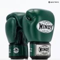 Bokso pirštinės WINDY Classic Genuine Leather green 8