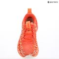 Moteriški bėgimo batai ASICS Noosa Tri 16 papaya/mojave 9
