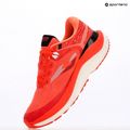 Vyriški bėgimo batai Joma Fenix coral 7