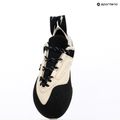 Vyriški laipiojimo batai Evolv Defy Lace gray/ black 8
