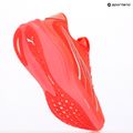 Vyriški bėgimo batai PUMA MagMax Nitro glowing red/peach frost 9