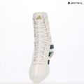 Bokso bateliai adidas Box Hog 4 cloud white/collegiate green/core black 19