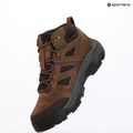 Vyriški žygio batai Helly Hansen Switchback Low 3 HellyTech bushwacker/coffe bean 12