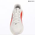 Vyriški bėgimo batai Nike Downshifter 14 white/summit white/bright crimson/black 10
