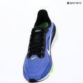 Vyriški bėgimo batai Nike Pegasus 42 sapphire/lapis/lime blast/summit white 14