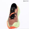 Vyriški bėgimo batai ASICS Trabuco Max 5 umeboshi/black 9