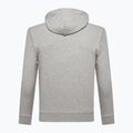 Vyriškas džemperis GAP XLS FT Arch FZ HD b10 grey heather 6
