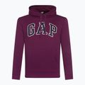 Vyriškas džemperis GAP V-Heritage Logo PO SNL beach plum 2