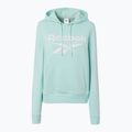 Moteriškas džemperis Reebok Identity Big Logo Fleece glitch aqua 5
