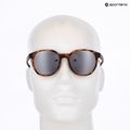 Akiniai nuo saulės UVEX LGL 54 havanna matt/litemirror silver 11