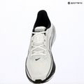 Vyriški bėgimo batai Nike Pegasus 42 summit white/metallic silver-photon dust 15