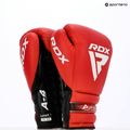 Bokso pirštinės RDX Apex Lace Up Training Sparring Boxing red 14