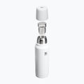 Termosas Stanley New Legendary Classic hammertone frost 3