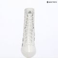 Bokso bateliai adidas Box Hog 4 white/silver 9