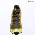 Vyriški bėgimo batai Salomon Speedcross 6 GTX grape leaf/aspargus green 16