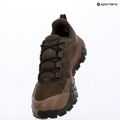 Vyriški turistiniai batai The North Face Offtrail Hike GTX dark chestnut/smokey 14