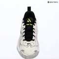 Vyriški krepšinio bateliai Nike Giannis Immortality 5 white/off white/metallic silver 16