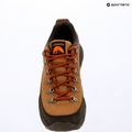 Vyriški žygio batai Columbia Newton Alpine Low grizzly bear/red oxide 15