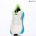 Vyriški bėgimo batai HOKA Clifton 11 Wide frost/black 18