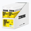 Energetinių gelių rinkinys 226ERS High Energy 24 vnt. x 76 g vitruina