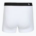 Vyriškos trumpikės Stance Standard 4IN white 2
