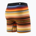 Vyriškos trumpikės Stance Curren Boxer Brief brown 2