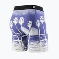 Vyriški bokseriai Stance In Paradise Brief blue 2