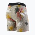 Vyriškos "Stance Yacht Club Brief" įvairiaspalvės bokserės 2