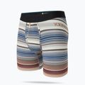 Vyriškos trumpikės Stance Curren Wholester multicolor