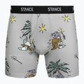 Trumpikės Stance Magic Brief grey