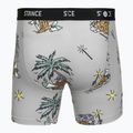 Trumpikės Stance Magic Brief grey 2