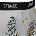 Trumpikės Stance Magic Brief grey 3