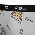 Trumpikės Stance Magic Brief grey 4