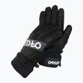 Vyriškos slidinėjimo pirštinės Oakley Factory Winter Gloves 2.0 blackout