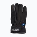 Vyriškos slidinėjimo pirštinės Oakley Factory Winter Gloves 2.0 blackout 7