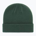 Žieminė kepurė 47 Brand MLB New York Yankees Centerfield dark green 2