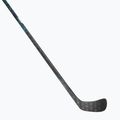 Ledo ritulio lazda CCM Vizion SR black 2