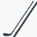 Ledo ritulio lazda CCM Vizion SR black 5