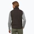 Vyriški drabužiai Patagonia Retro Pile Fleece be rankovių black 2