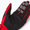 Fox Racing Dirtpaw dviratininkų pirštinės raudonos 25796_110 5