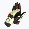Fox Racing Dirtpaw dviratininkų pirštinės beige 25796_361