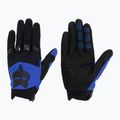 Vyriškos dviratininkų pirštinės Fox Racing Dirtpaw blue