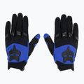 Vyriškos dviratininkų pirštinės Fox Racing Dirtpaw blue 2