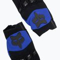 Vyriškos dviratininkų pirštinės Fox Racing Dirtpaw blue 5